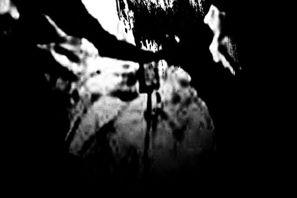 zw-209
